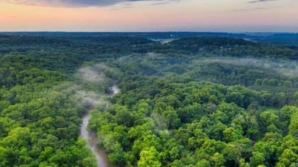 7 Fascinating Facts About the Amazon Rainforest