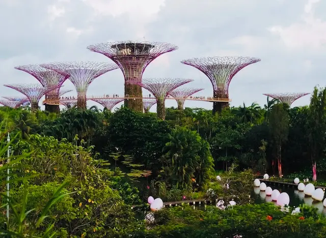 Singapore Travel Guide The Ultimate List of Things to Do